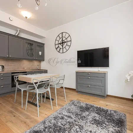 Vip Rotermanni Apartment
