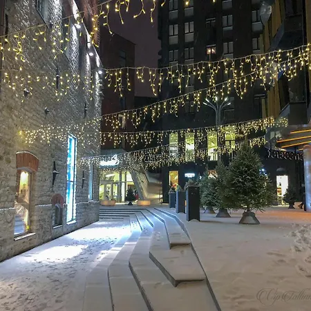 Vip Rotermanni Apartament Tallin