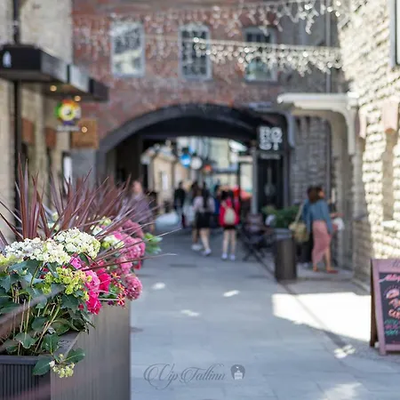 Vip Rotermanni Apartament *