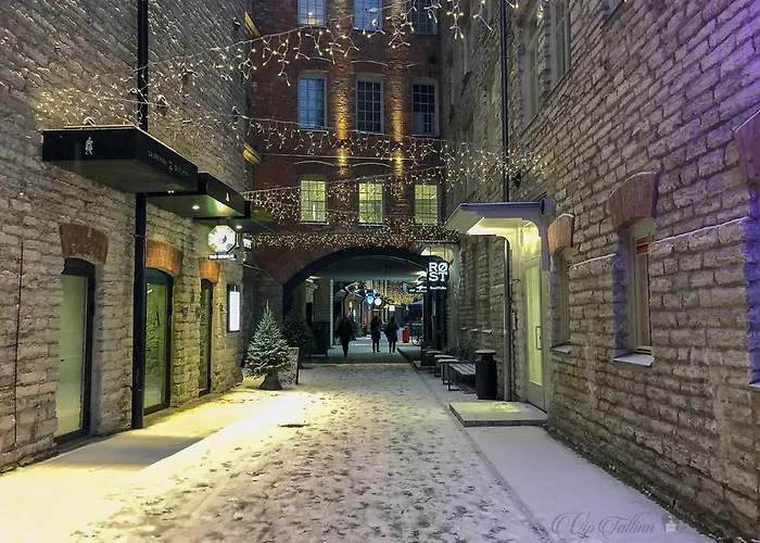 Vip Rotermanni * Tallinn