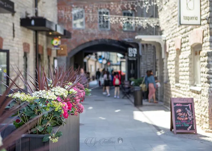 Vip Rotermanni Appartement *