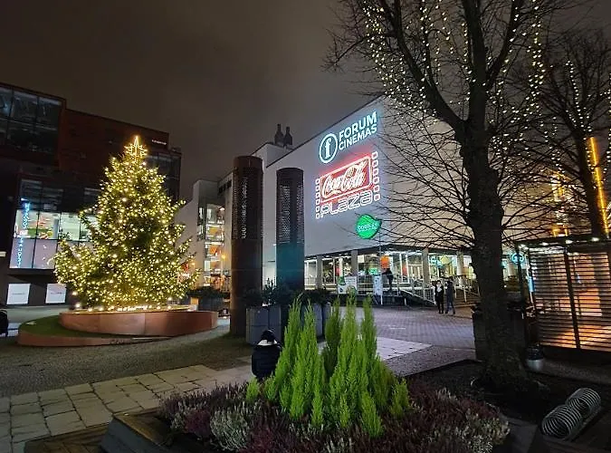 Appartement Vip Rotermanni *