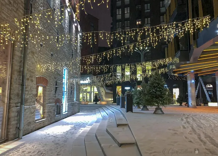 Vip Rotermanni Lägenhet Tallinn