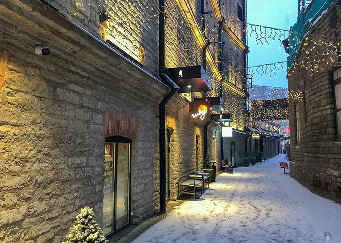 Vip Rotermanni Lägenhet Tallinn