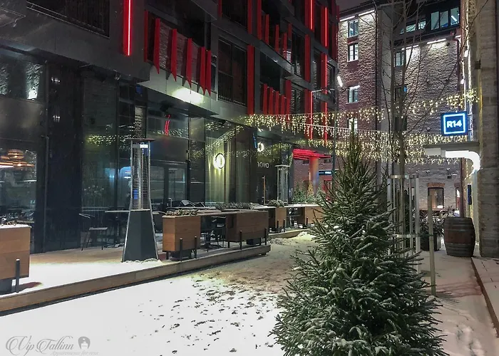 Apartmán Vip Rotermanni *